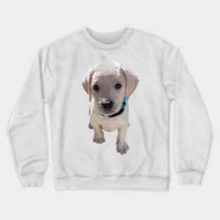 Lab Puppy 1 Crewneck Sweatshirt